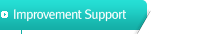 Improvement Support